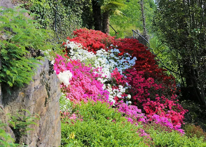 Ferrari 4* 카노비오